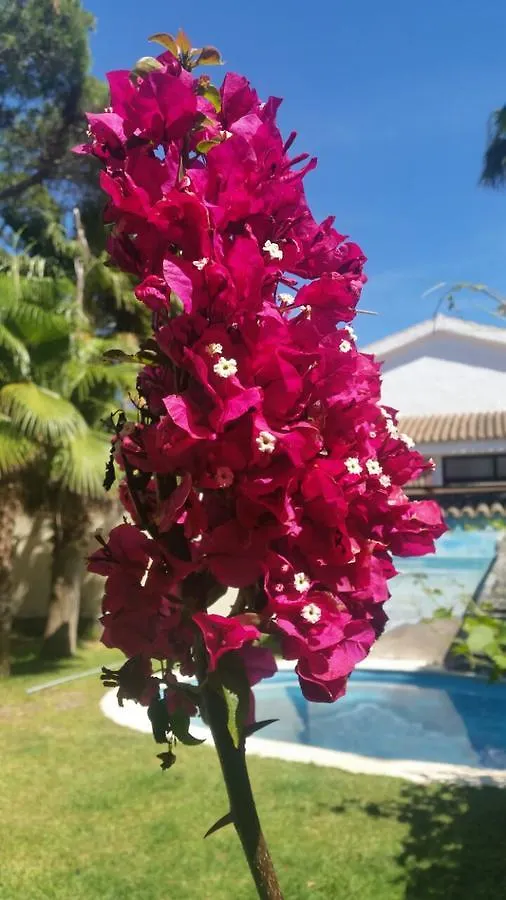 Casa Galeria Hotel Chiclana de la Frontera